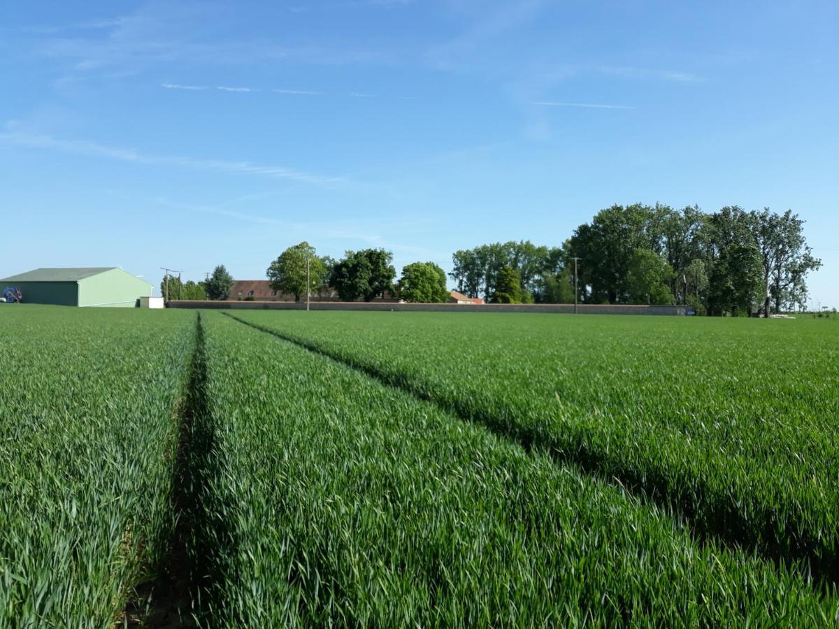 Ferme De Mesangeon Villa Beauvilliers  Eksteriør bilde