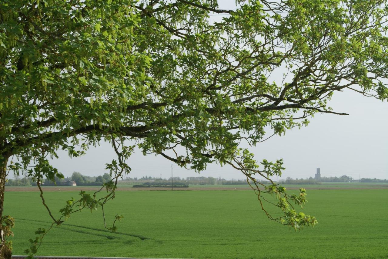 Ferme De Mesangeon Villa Beauvilliers  Eksteriør bilde